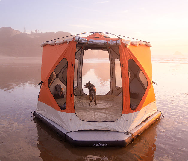 Space Acacia – Acacia Outdoor